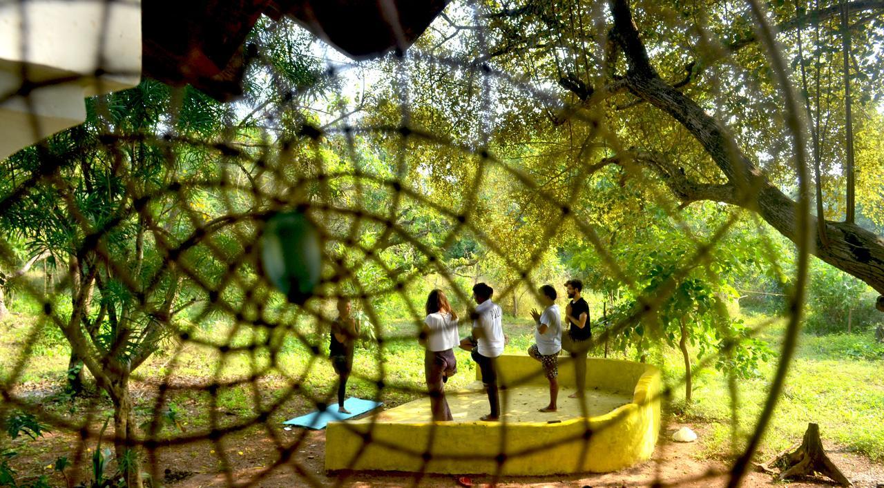 The Nest By Hostelogy Andžuna Exteriér fotografie