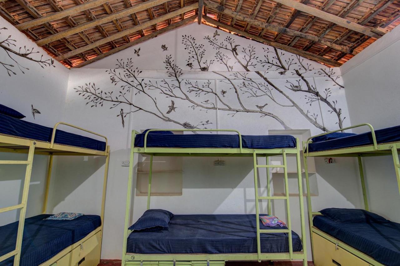 The Nest By Hostelogy Andžuna Exteriér fotografie
